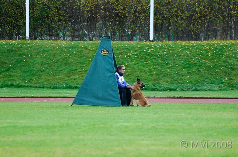 IPORM2008-149.jpg