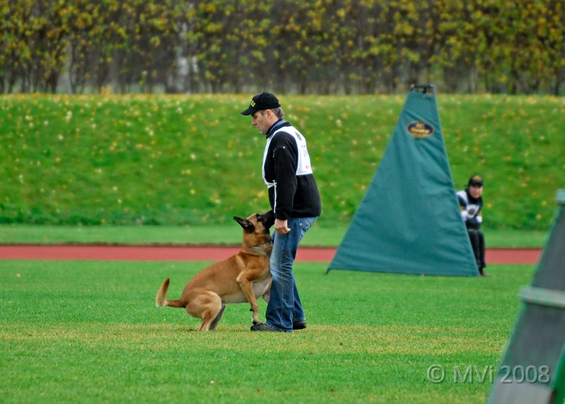 IPORM2008-156.jpg